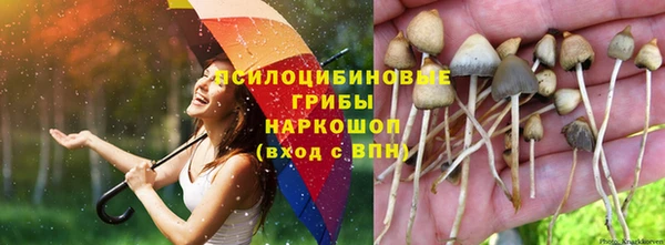 бутик Лабытнанги