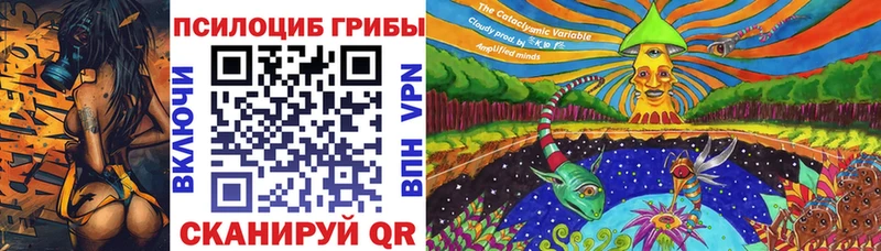 Купить  Володарск  Псилоцибиновые грибы Psilocybine cubensis 